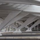 Bahnhof Liège-Guillemins III