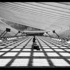 Bahnhof Liège-Guillemins (Lüttich)