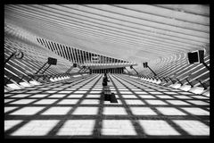 Bahnhof Liège-Guillemins (Lüttich)