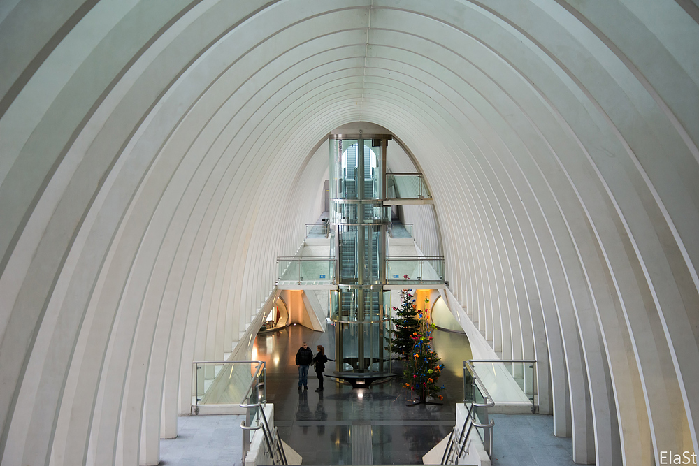 BAHNHOF LIÈGE-GUILLEMINS ~3