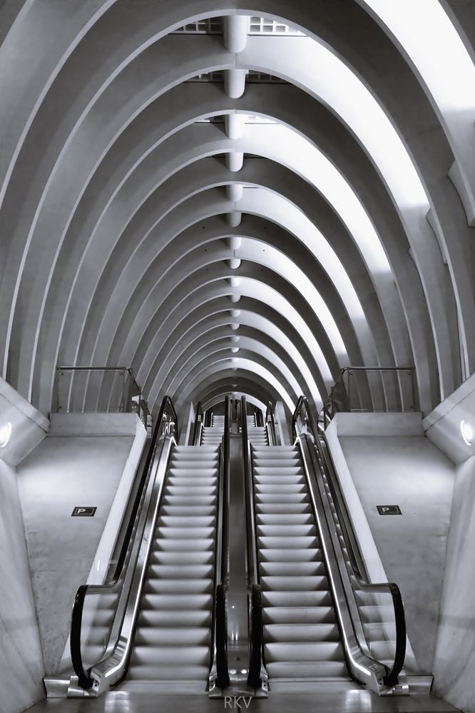 ***Bahnhof Lüttich-Guillemins***