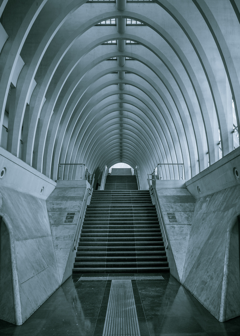 Bahnhof Lüttich/Belgien 1