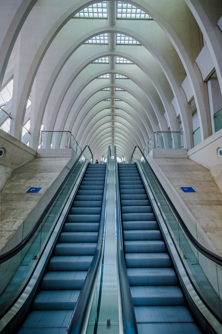 Bahnhof Lüttich/Belgien 5