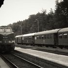 Bahnhof Neukirch ( Lausitz ) West .