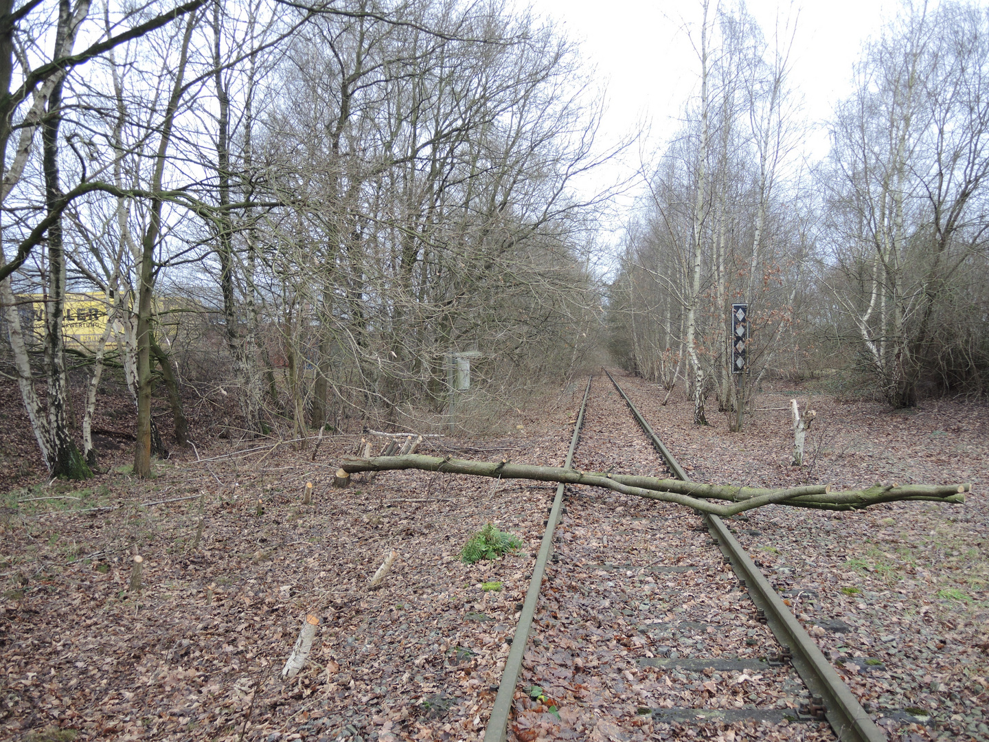 Bahnhof Siedenburg 2016 - Bahnstrecke Nienburg - Sulingen