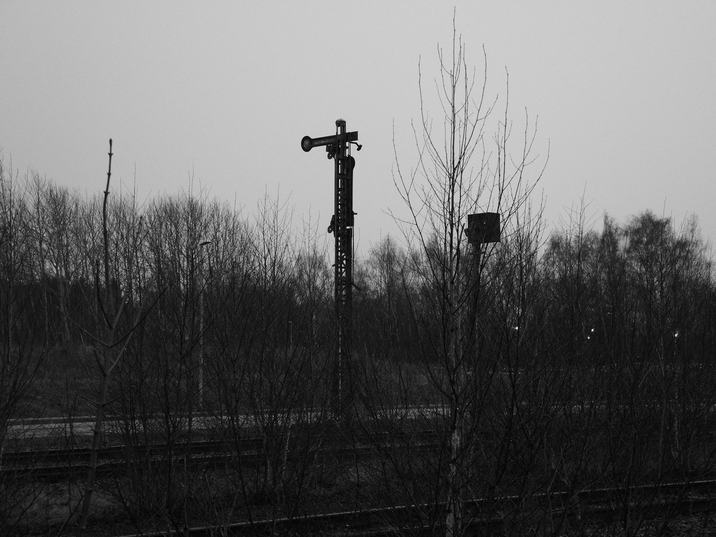 Bahnhof Sulingen 2016 V - Bahnstrecke Nienburg - Sulingen