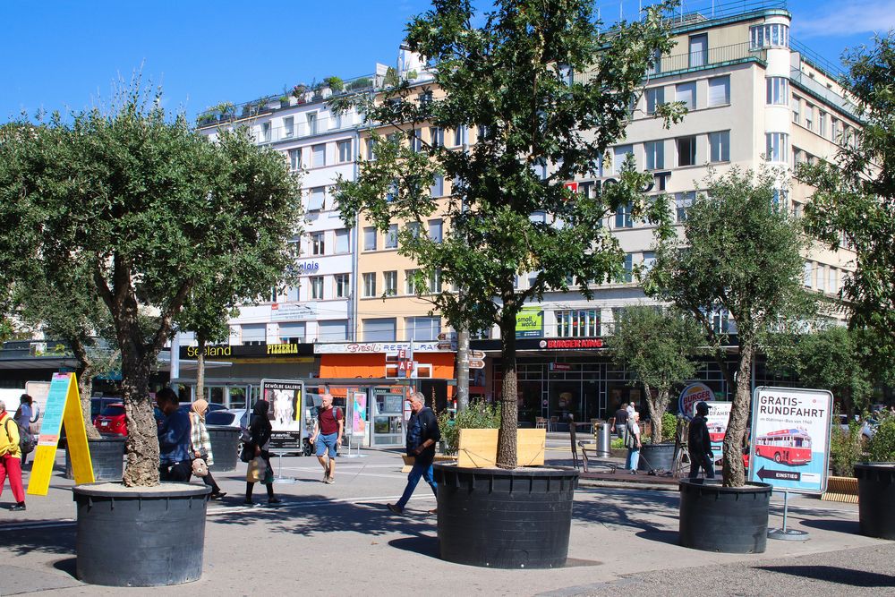 Bahnhofplatz mit temporären Bäumen