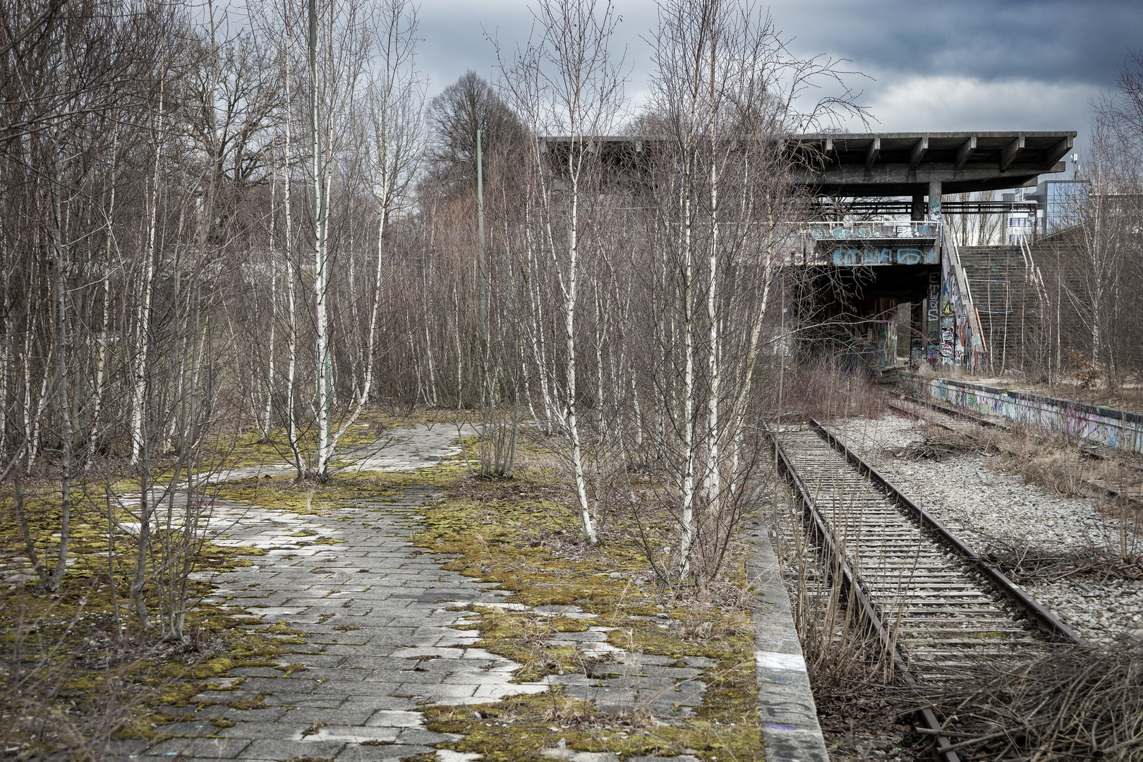 Bahnhofsbäume