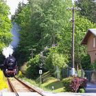 Bahnhofsfest in Neustadt