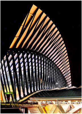 BahnhofsFlügel Lyon-Saint-Exupéry