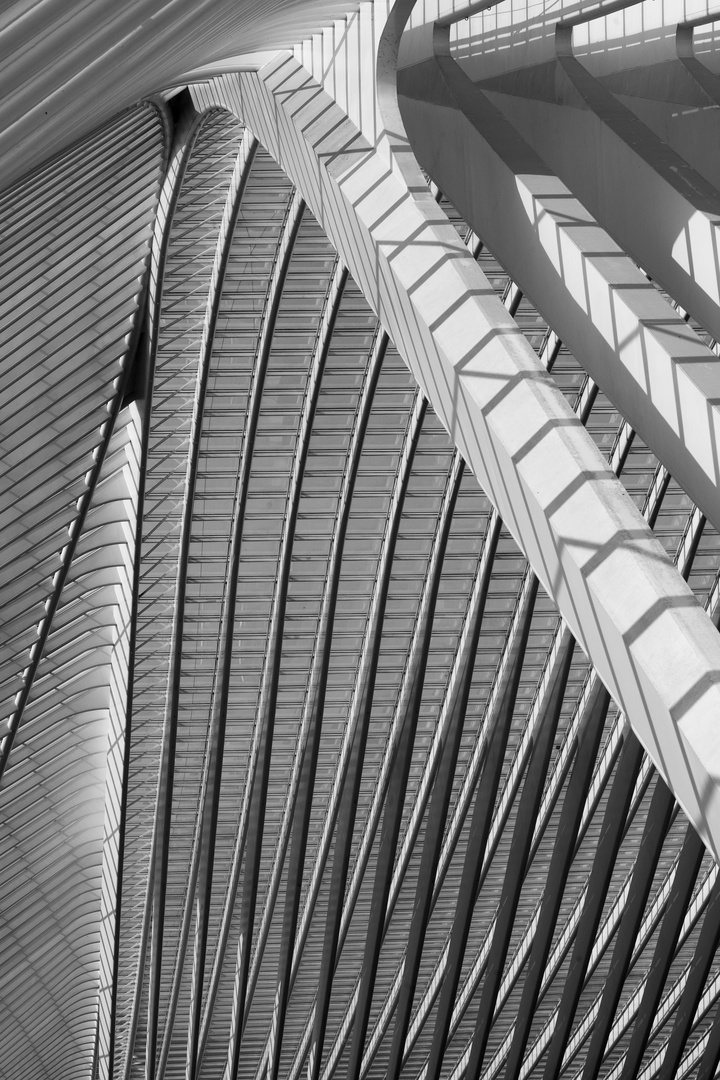 Bahnhofshalle Liège-Guillemins