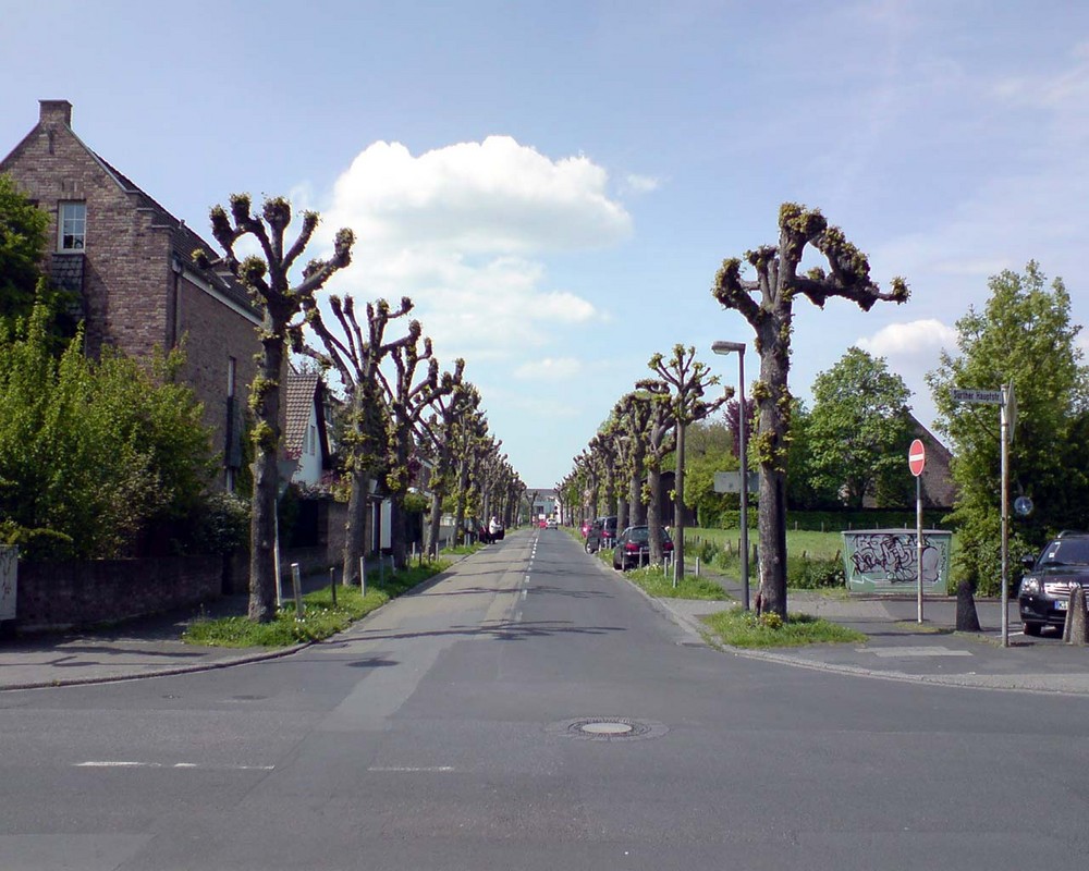 Bahnhofstraße in Köln-Sürth. Ansicht in Frühjahr.