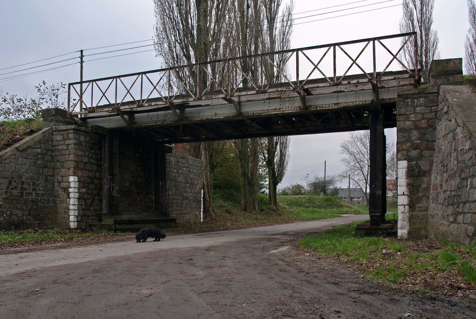 Bahnlinie Rasselwitz-Bauerwitz