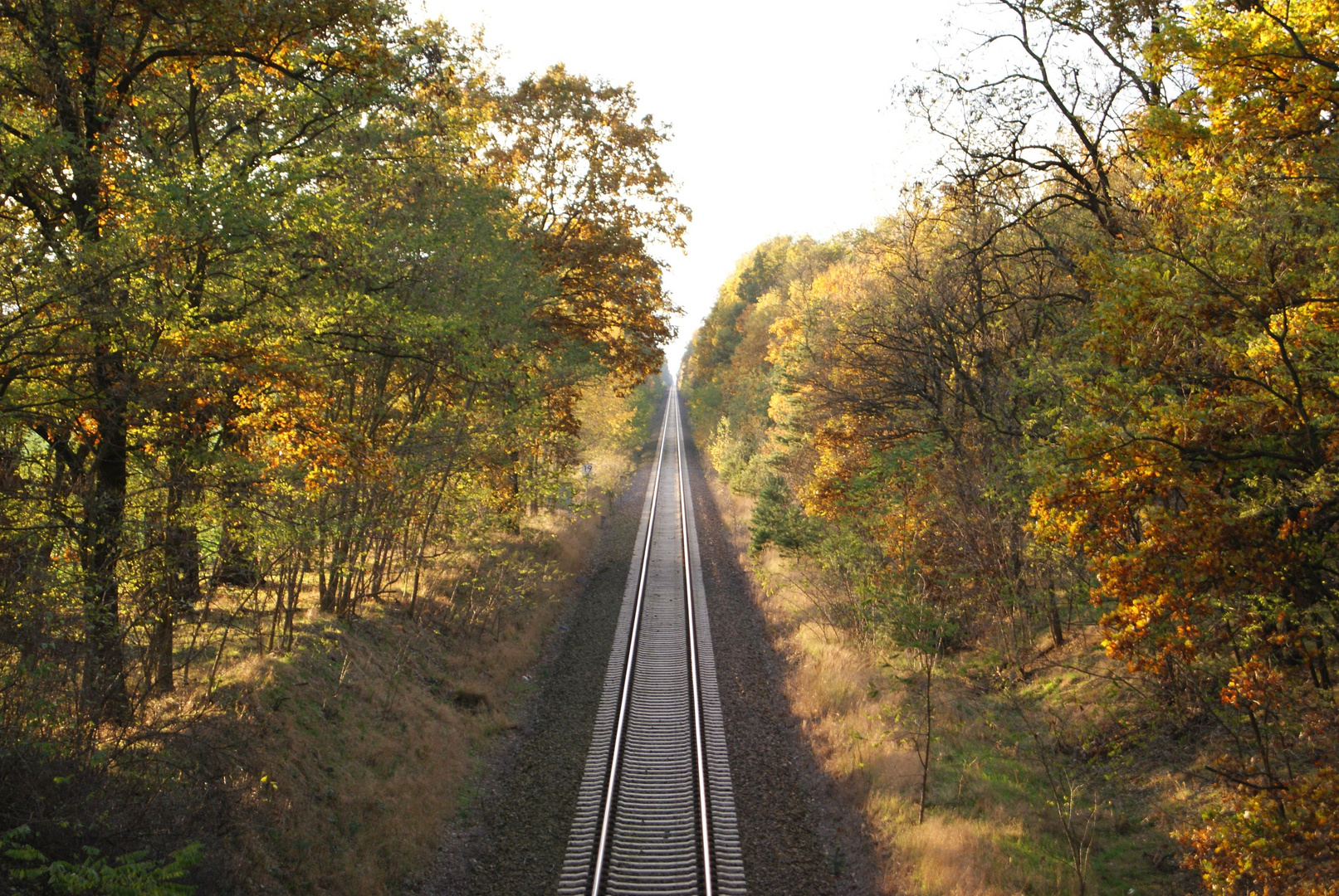 Bahnschienen