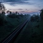 Bahnschienen im Zwielicht