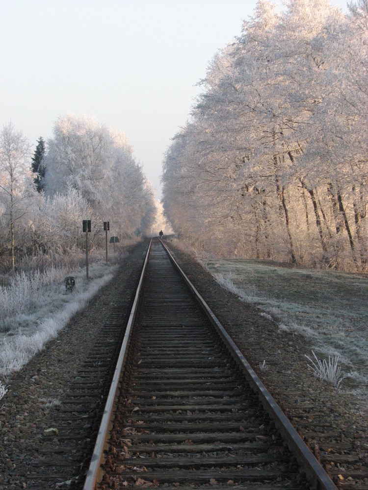 Bahnschienen in Elisabethfehn-Dreibrücken