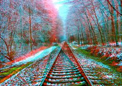 Bahnstrecke im Wald