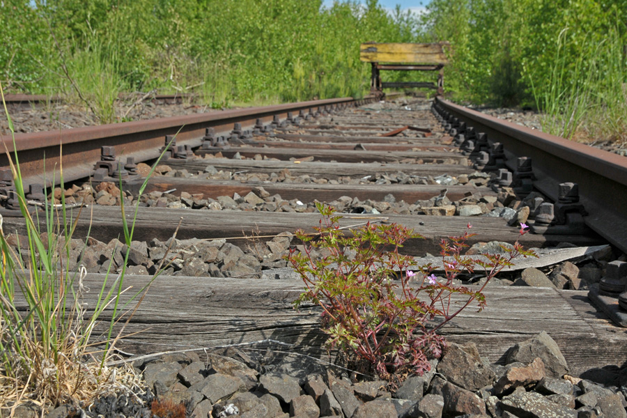 Aktuelle news und infos zu bahnstreiks in der übersicht sowie weitere infos zu relatedkeywords. Bahnstreik : Bahnstreik Foto & Bild | gleise, eisenbahn, verkehr ...