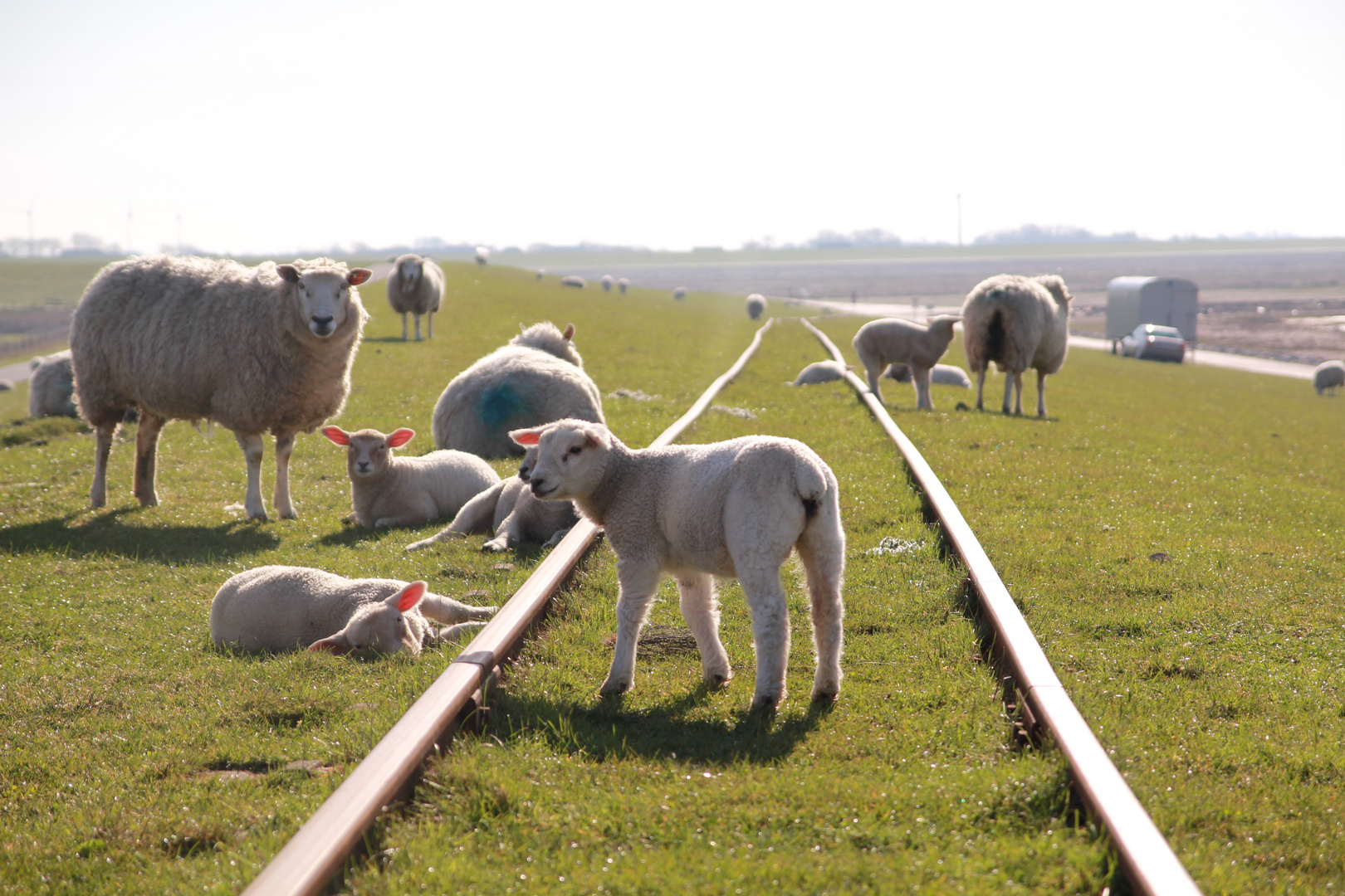 Bahnstreik zum GLÜCK !