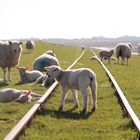 Bahnstreik zum GLÜCK !