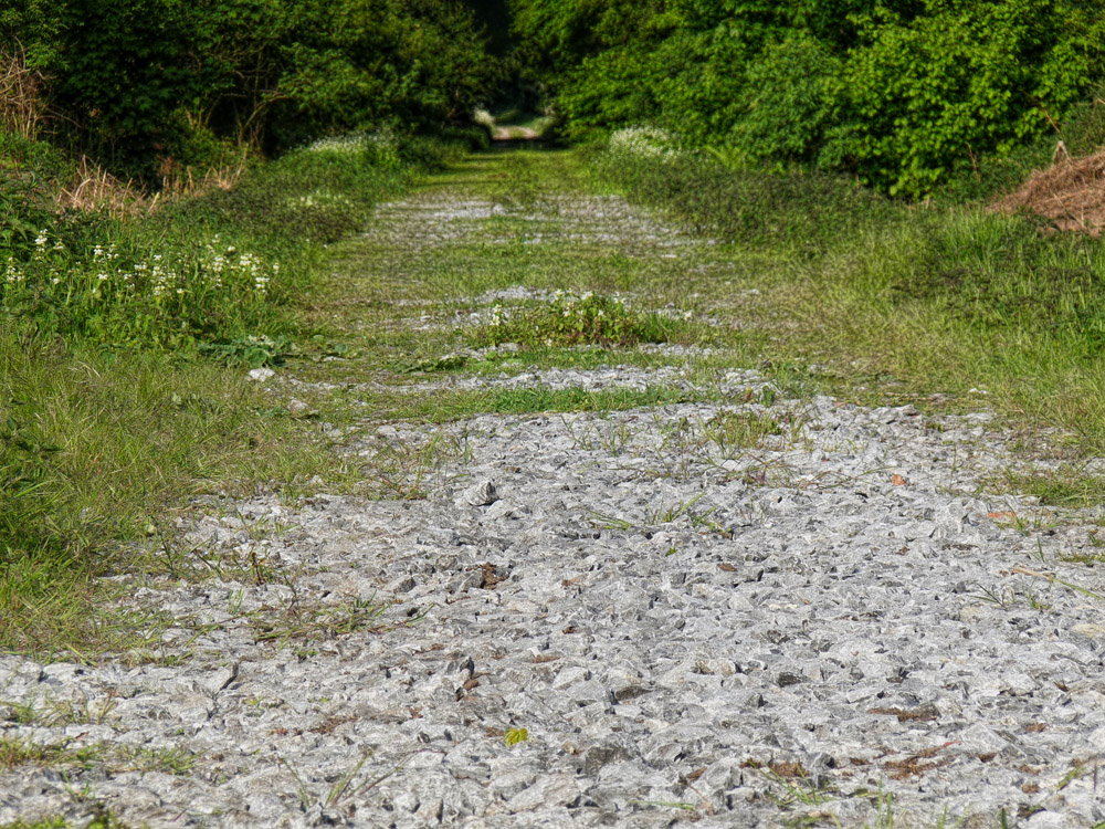 Bahntrasse Ahaus Stadtlohn