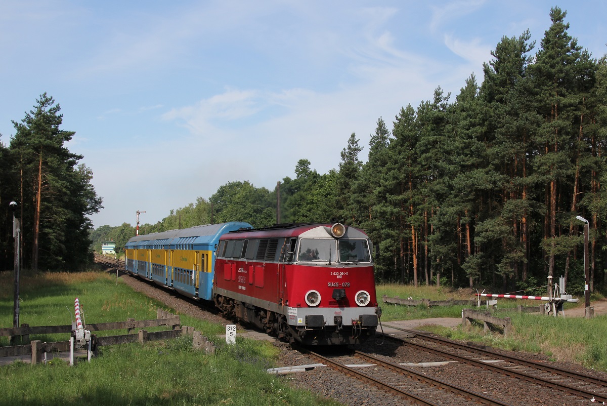 Bahnübergang im Wald