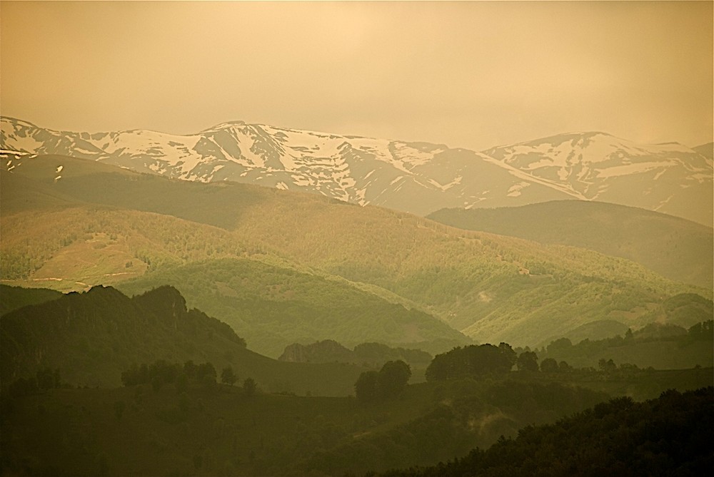 Baia de Arama