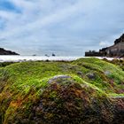 Baía de Câmara de Lobos 03