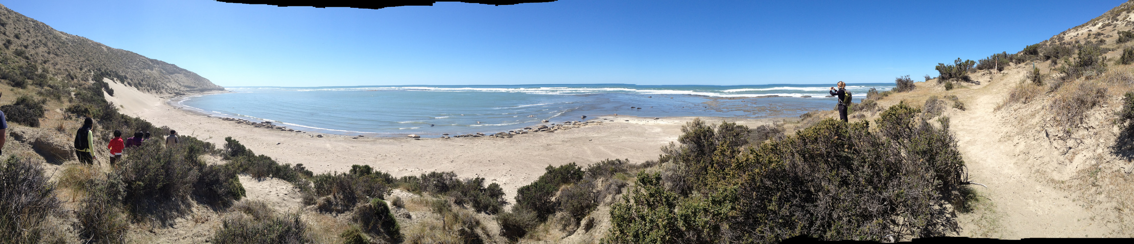 baia dei leoni marini Argentina