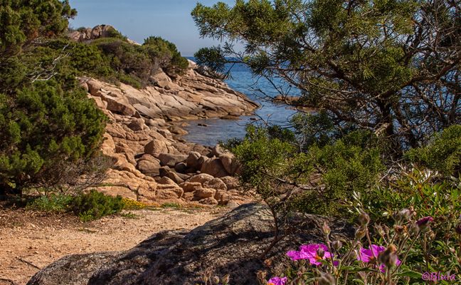 Baia Sardinia.... zum Verwöhnen !