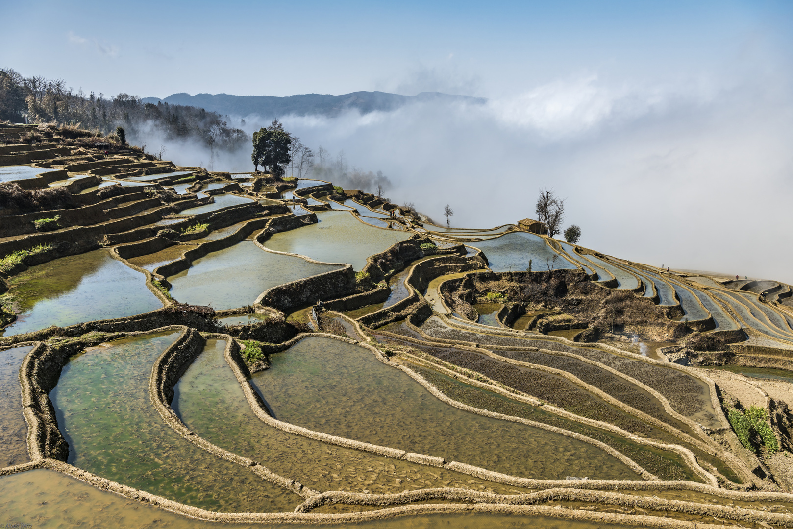 *Baida terraced fields*