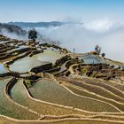 *Baida terraced fields*