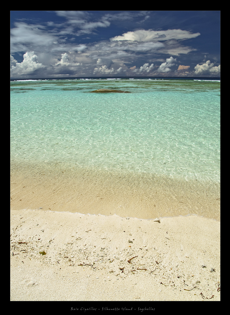 Baie Cipailles - Silhouette Island - Seychelles 2010