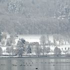 Baie d'Albigny, lac d'Annecy_DSC02165