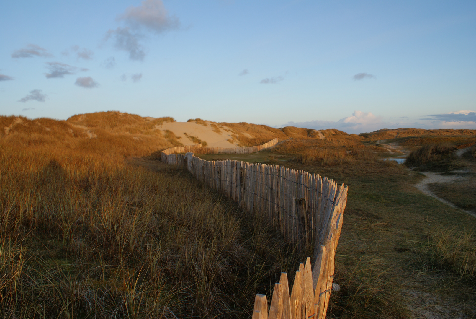 baie d'auderne ganivelle