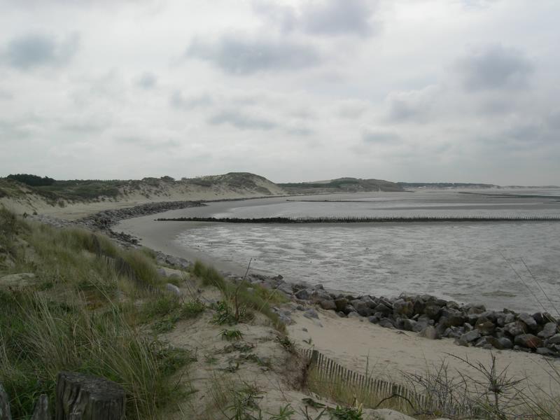 Baie d'authie