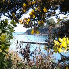 BAIE DE DOUARNENEZ