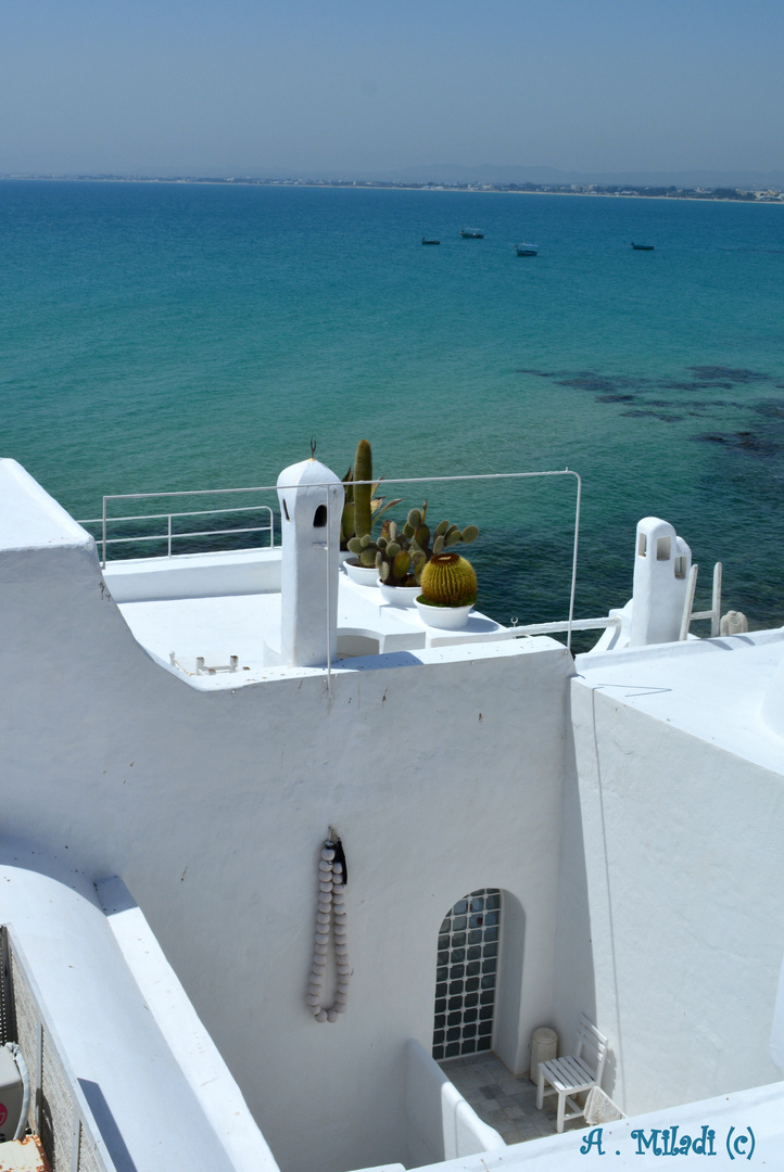 Baie de Hamamet vue du fort de la ville.