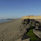 baie de l' authie, berck