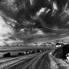 baie de l authie, berck