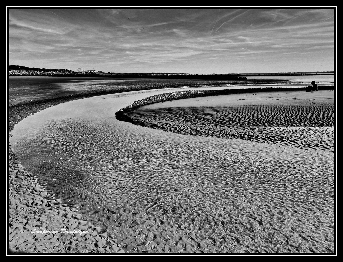 baie de l' authie en hiver JE VOUS SOUHAITE UNE BONNE ANNEE A TOUS!