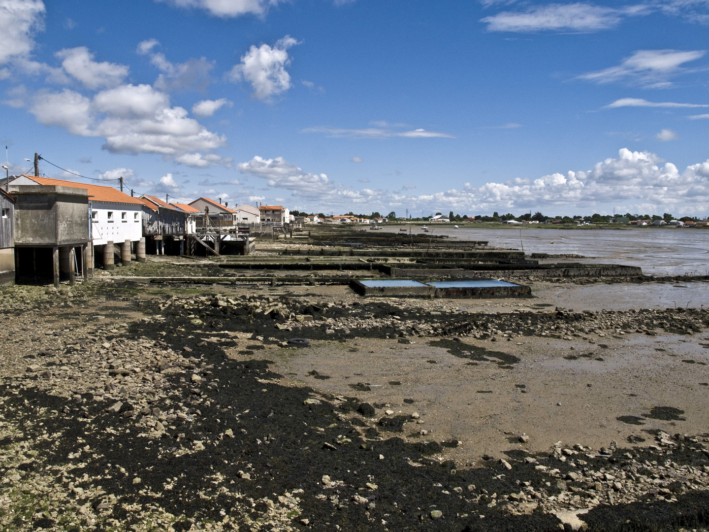 Baie de la Grognasse à marée basse  --  Bourcefranc-Le Chapus  --  Eine Bucht bei Ebbe