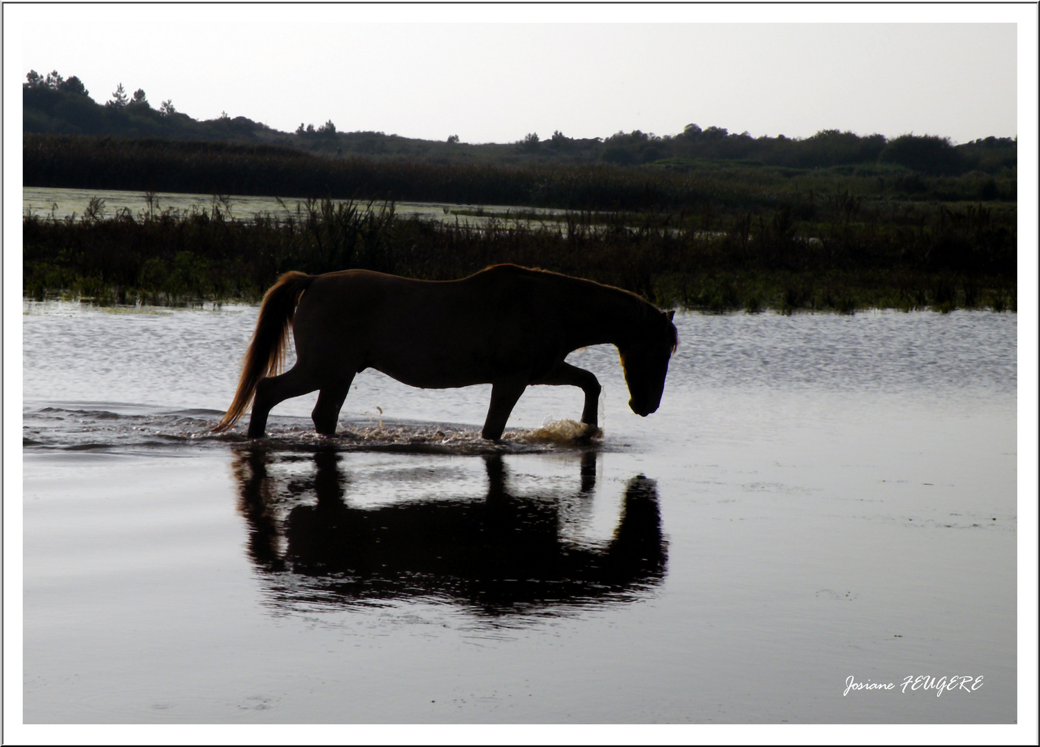 Baie de Somme