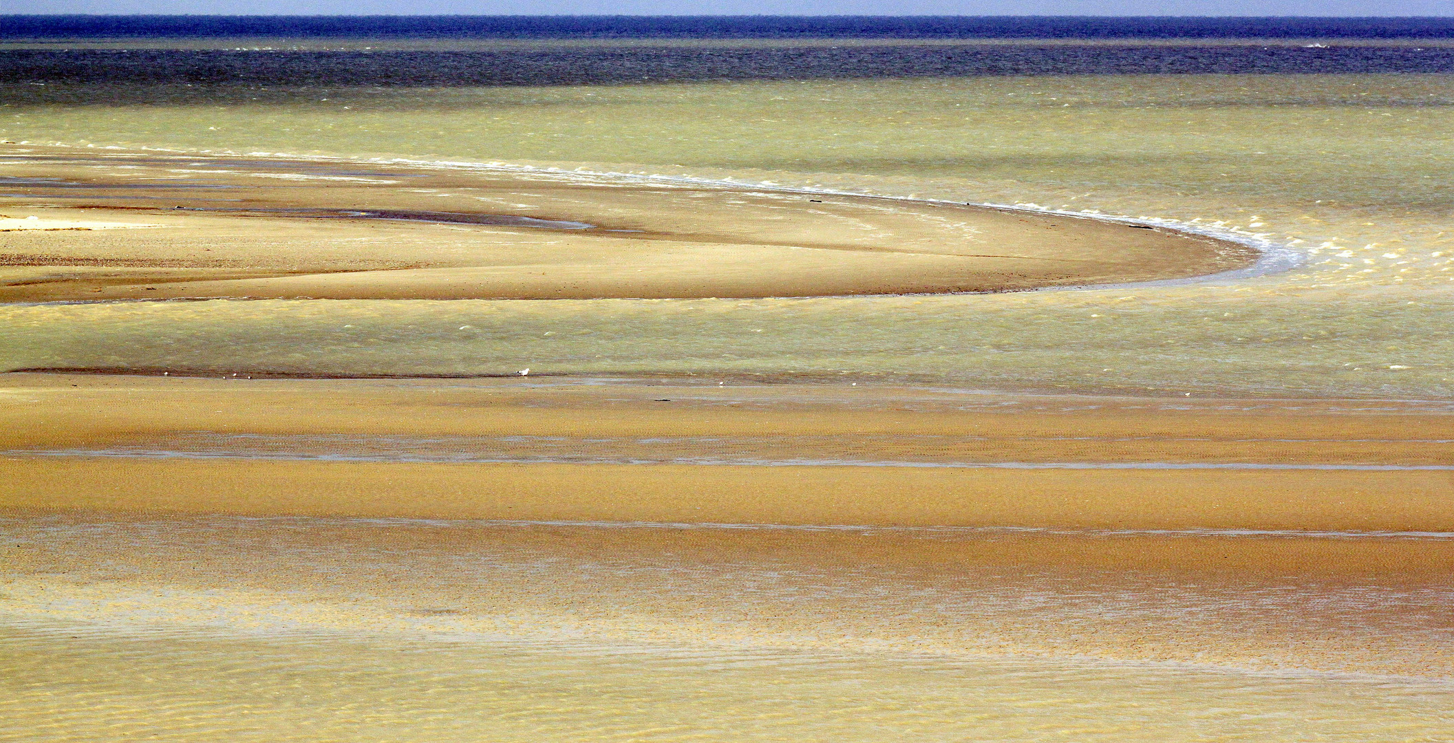 Baie de somme