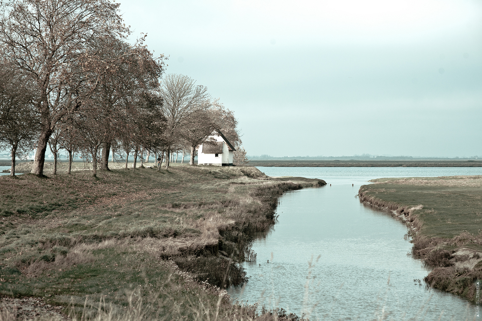 Baie de somme