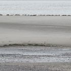 ..Baie de Somme, au Hourdel à marée basse..