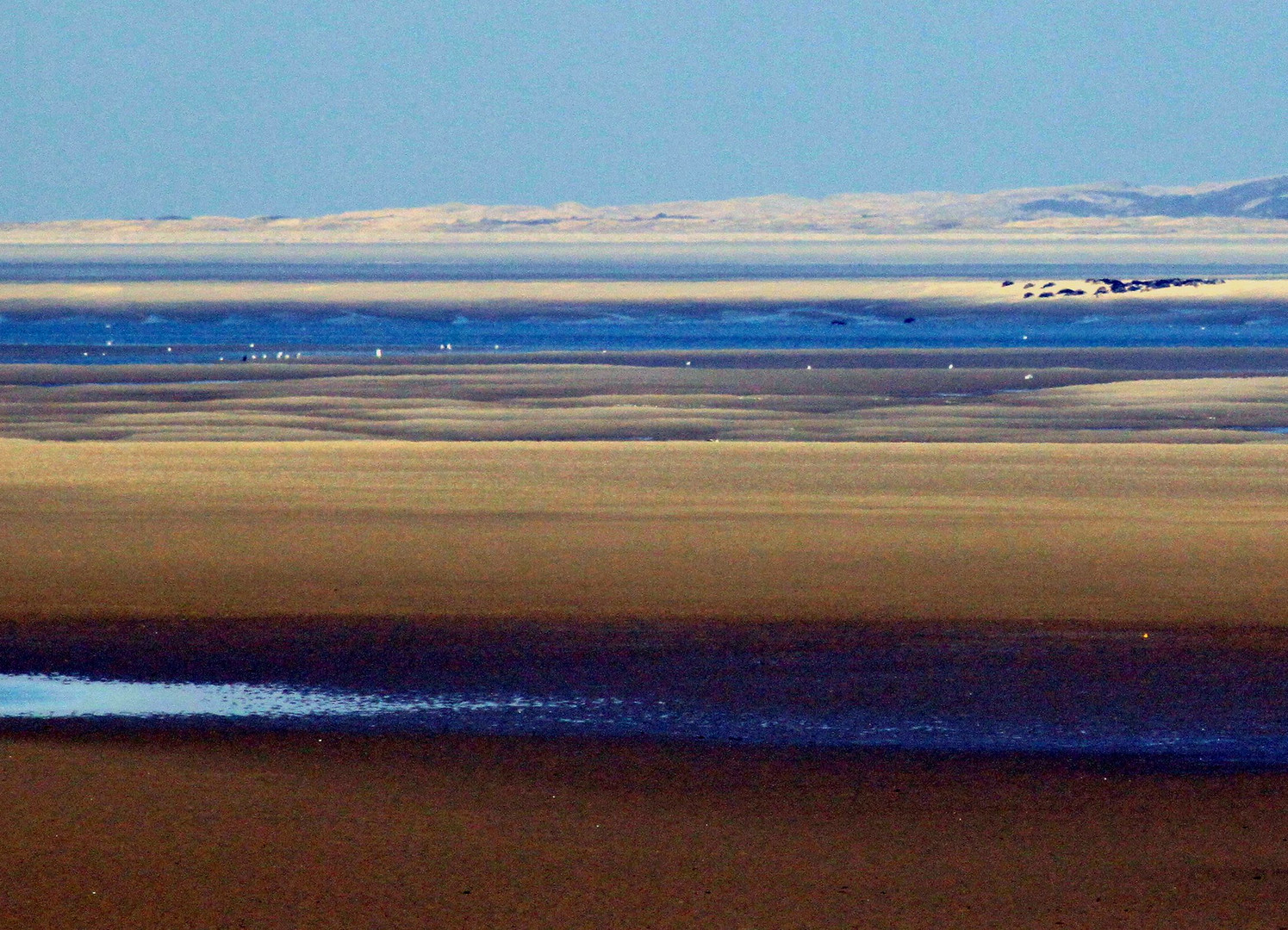 Baie de somme