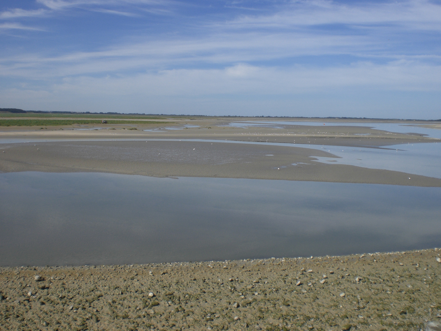 Baie de Somme - Juillet 2010