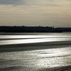 Baie de Somme - Le Crotoy - France