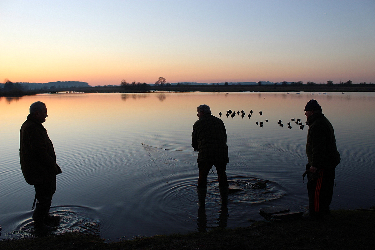 baie de Somme ...les chasseurs de la hutte..